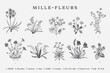 Millefleurs. Set. Vintage vector botanical illustration. Black and white