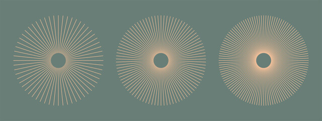 Wall Mural - Radial circle lines. Circular lines elements. Symbol of Sun star rays. Peach Fuzz snowflake. Flat design element. Abstract illusion geometric shape. Spokes with radiating stripes. Vector graphic. Eps.