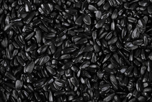 Top View Of A Lot Of Black Roasted Sunflower Seeds.