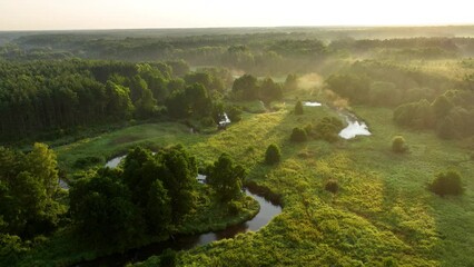 Wall Mural - Beautiful morning over the forest and river - drone aerial view	