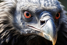 Generative AI Image Of An Intense Eagle Close-up