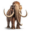 Majestic Woolly Mammoth: Isolated on Transparent Background, Showcasing the Front View and Imposing Tusks