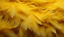 Vibrant Yellow Feather Texture Background With Intricate Details And Large Bird Feathers