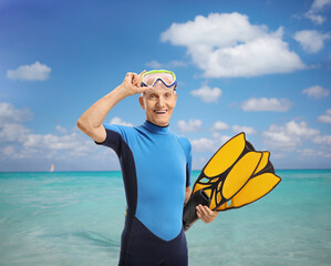 Wall Mural - Man in a wetsuit with snorkeling equipment standing in front of a sea