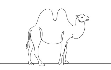 Canvas Print - Camel. One line