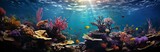 Fototapeta Fototapety do akwarium - Underwater world of tropical coral reef, colorful tropical scenic ecosystem, Concept: illustrations in marine biology and conservation. Banner with copy space