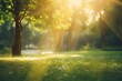 An abstract background with a blurry nature scene of a green park, featuring sun rays and bokeh effects