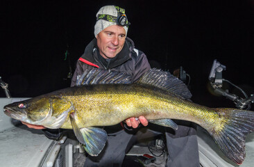 Wall Mural - Huge zander caught in the night