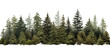 Green evergreen fir pine spruce trees treeline isolated on transparent background. Generative AI