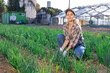 Satisfied woman owner of a farm plantation demonstrates grown green onions in the field beds