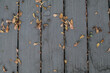 © Warunporn - Wooden floor and yellow leave drops on the floor texture for design and architect. Autumn background.