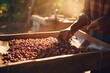 Fair Trade Coffee Initiatives: Showcase scenes from fair trade coffee initiatives globally, emphasizing the importance of ethical and sustainable practices in the coffee industry
