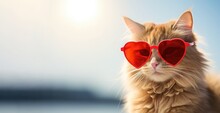 banner of a ginger cat wearing heart shaped red sunglasses for Valentines day
