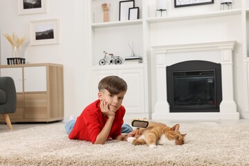 Poster - Little boy with pet brush and cute ginger cat on soft carpet at home