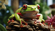 Cute red eyed tree frog sitting on wet branch, looking curious generated by AI