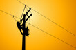 Silhouette of power lineman uses a clamp stick grip all type to install the line cover on energized high-voltage electric power lines. To change the lightning arresters that is damaged.