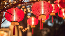 Chinese New Year Lanterns, Many Red Lanterns Hanging From A Tree In A Room, Perfect For Chinese New Year, Asian Restaurant Decor, Cultural Events, Or Festive Atmosphere In Interior Design. 