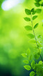 Closeup of green nature leaf on blurred greenery realistic wallpaper
