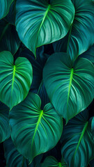 Wall Mural - More beautiful exotic tropical leaves isolated leaf design