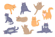 Fat Funny Cats Set. Cartoon Cat Characters In Different Poses. Cute Pet Collection.