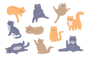  Fat funny cats set. Cartoon cat characters in different poses. Cute pet collection.