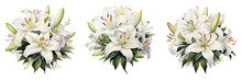White Lily Flower Bouquet Isolated On Transparent Background.