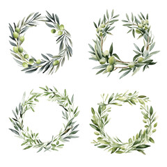 green olive tree branch wreath with leaves watercolor paint on white background