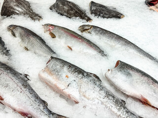 Poster - Fresh salmon fish on ice in the market