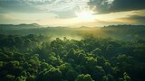 Fototapeta Natura - Beautiful green Amazon forest landscape at sunset. Adventure, explore, air dron view, vibe