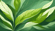 abstract green leaf texture, nature background, spring background