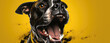 Vibrant portrait of a brindle dog with gleaming eyes, open mouth and visible teeth, set against a bright yellow backdrop with dynamic black splashes.