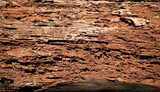 Fototapeta  - Damaged wood is eaten by termites