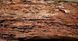 Fototapeta  - Close up of Rotten damaged wood is eaten by termites