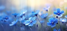 Beautiful Blue Spring Flowers With Blurry Background.