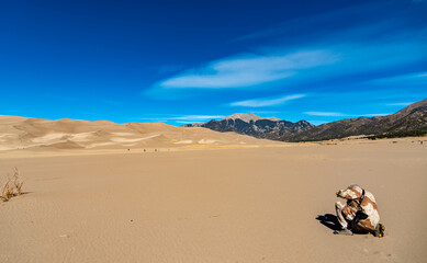 Silhouette of a man bending over while taking a photo on the sand, Great Sand Dunes National Park