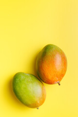 Wall Mural - Ripe mango fruit on yellow background. Top view.