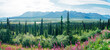 Glenn Highway Scenic Byway, Anchorage, Glennallen, Alaska, USA