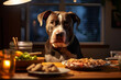 Hungry dog standing near plates with owner's food at table
