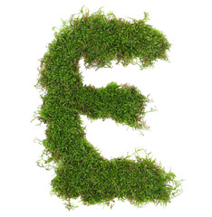 Wall Mural - Green moss in shape alphabet letter E isolated on white, clipping path, top view