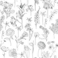Exotic Chrysanthemum, Dahlia, Roses, Many Kind Of Spring Flowers Illustration. Black White Line Seamless Pattern. White Background.
