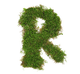 Wall Mural - Green moss in shape alphabet letter R isolated on white, clipping path, top view