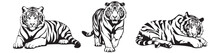 Set Of Tiger Silhouettes In Different Positions, Black And White Vector Graphics, Silhouette Laser Cutting