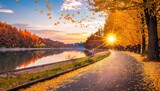 Fototapeta  - 秋の銀杏並木と美しい川の流れと道と空