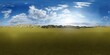 Endless green grassland scene 360 panorama, 3D rendering