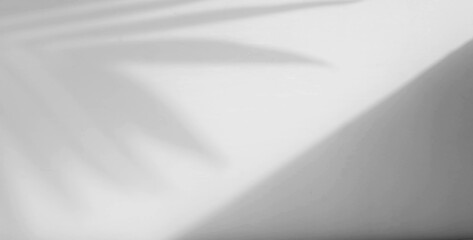 Poster - palm leaf shadow overlay