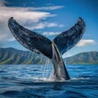 The tail of a humpback whale is distinctive and recognizable.