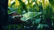 Blurred image, Farmers use tablets to analyze data