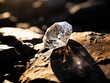 A raw diamond rests amidst rugged rocks, catching light with its natural facets.
