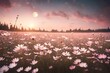 A sprawling cosmos flower field under a twilight sky, with the moon casting a subtle, ethereal glow on the delicate pink and white petals, creating a dreamlike scene in a soft vintage tone.