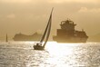 Sailboat, container ship and cruise ship sailing in Santos Bay during sunset. Santos city, Brazil.